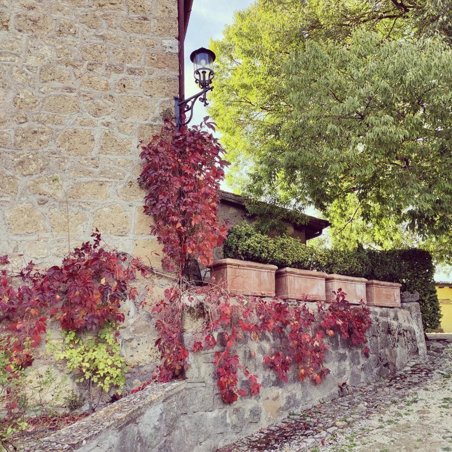 La Locanda Della Chiocciola Orte Exteriör bild