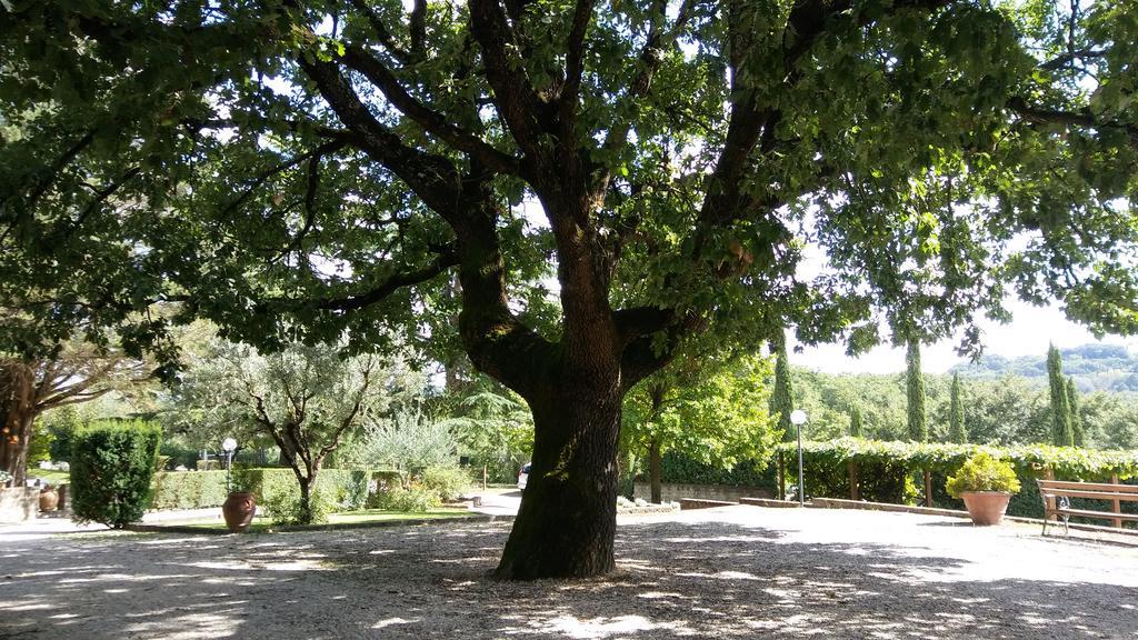 La Locanda Della Chiocciola Orte Exteriör bild